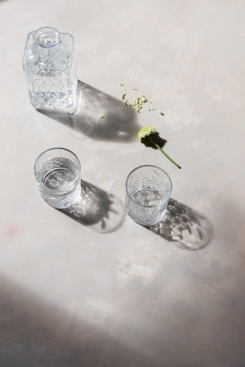 Sustainable Experience to Gift at a Domus Selecta Boutique Hotel